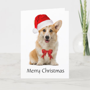Corgi Christmas card
