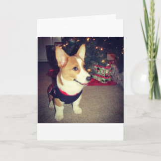 Corgi Christmas Card