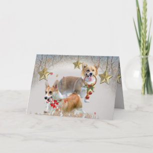 Corgi Christmas Joy Holiday Card