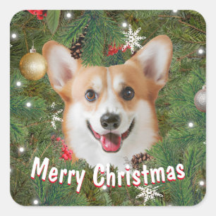 Corgi Christmas Square Sticker