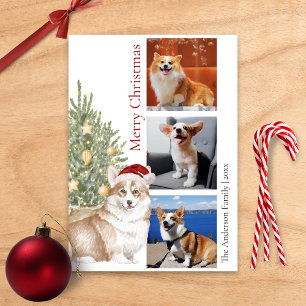 Corgi Christmas Tree Pet Dog Photo Holiday Card