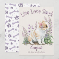 Corgi Dog Adoption, Gotcha Day