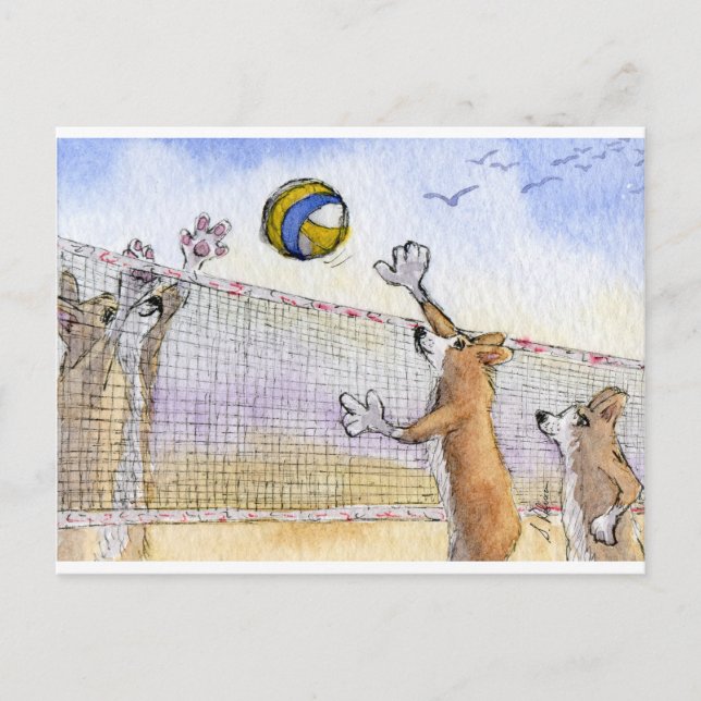 Corgi dog beach volleyball postcard (Front)