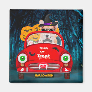 Corgi Dog Driving Car Scary Halloween Magnet