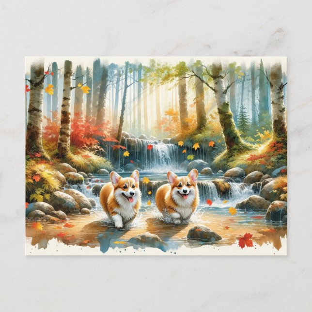 Corgi Dogs In A Woodland Stream With Fall Colours Postcard (Front)