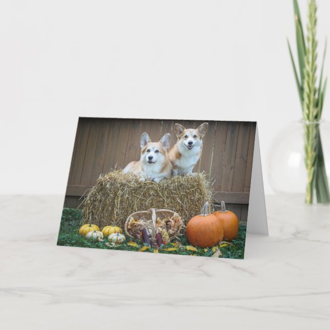 Corgi Fall blank card (Front)