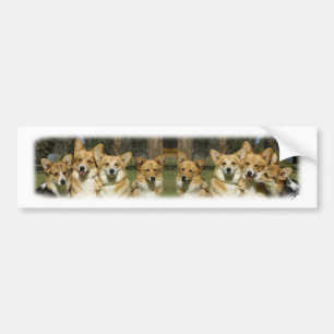 Corgi Group Bumper Sticker