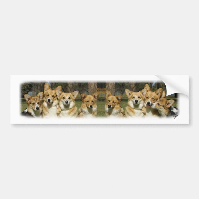 Corgi Group Bumper Sticker (Front)