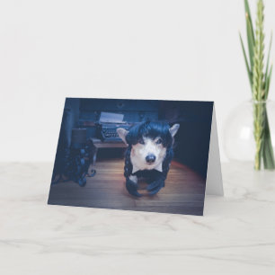 Corgi Halloween Greeting Card