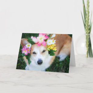 Corgi in Flower Garland blank greeting card