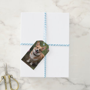 Corgi In The Pink Roses, Gift Tags