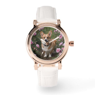 Corgi In The Pink Roses, Watch