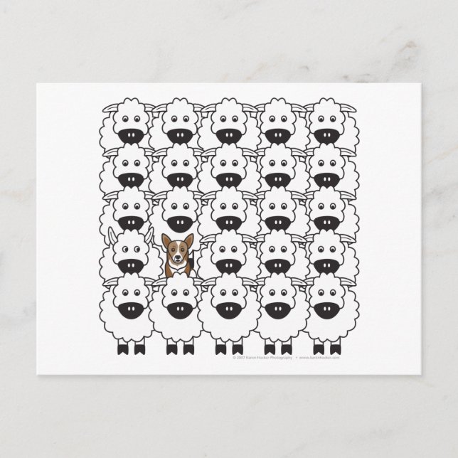 Corgi in the Sheep Postcard (Front)