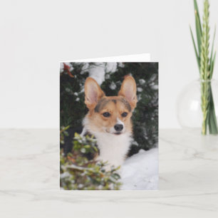 Corgi in the Snow Card
