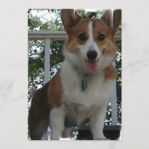 Corgi Invitation