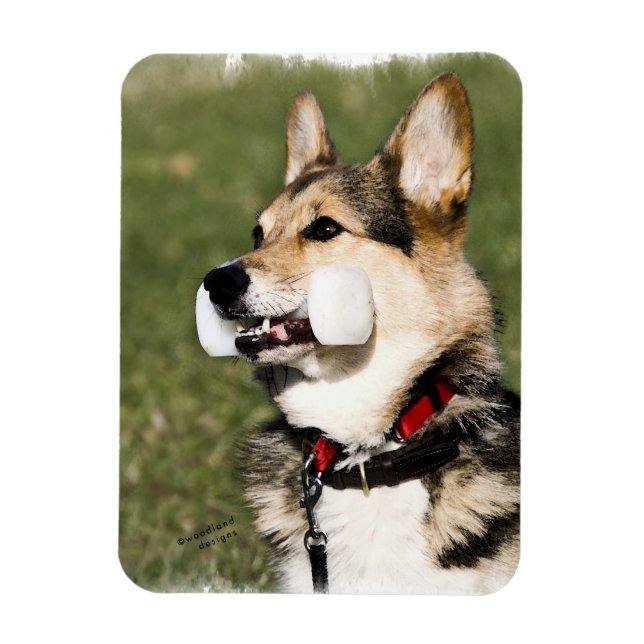 Corgi Magnet (Vertical)