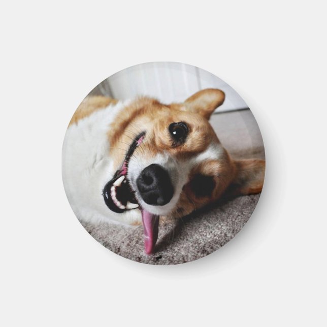 Corgi Magnet (Front)