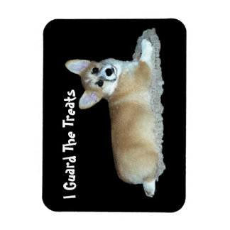 Corgi Magnet