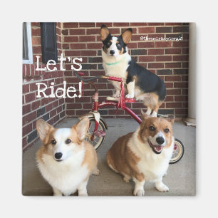 Corgi Magnet