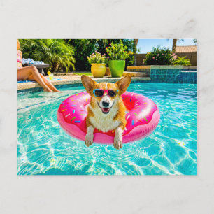 Corgi on doughnut float postcard