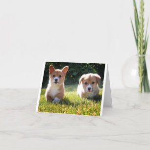 Corgi ( Pembroke ) Puppy Dog Blank Note Card