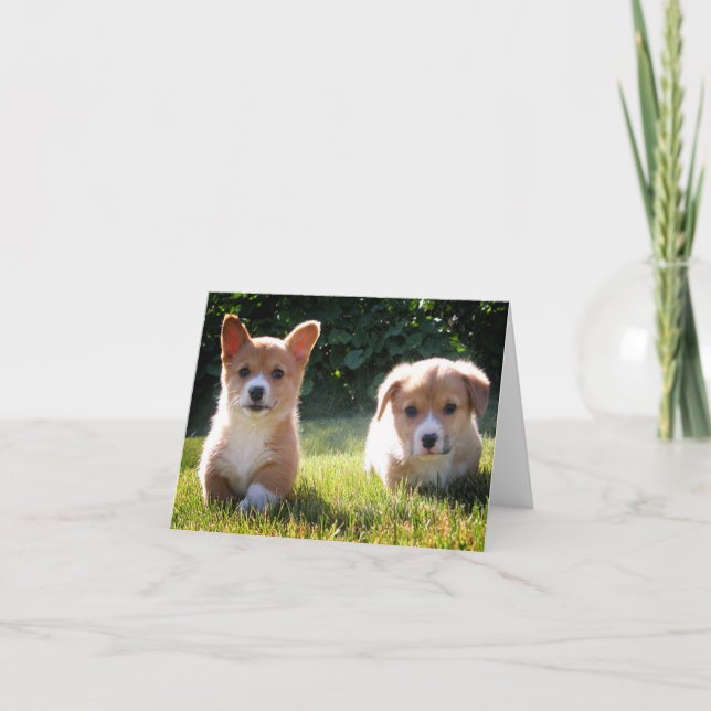 Corgi (Pembroke Welsh) Puppy Dog Note Card (Front)