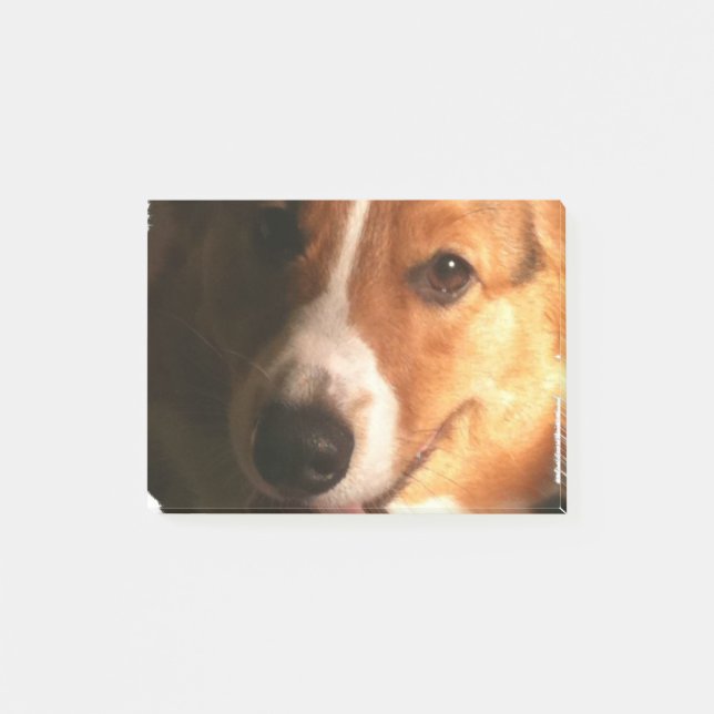 Corgi Post-it Notes (Front)