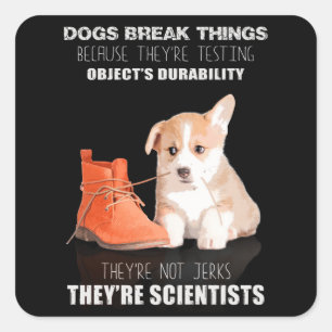 Corgi Puppy Dog They're Not Jerk They're Scientist Square Sticker