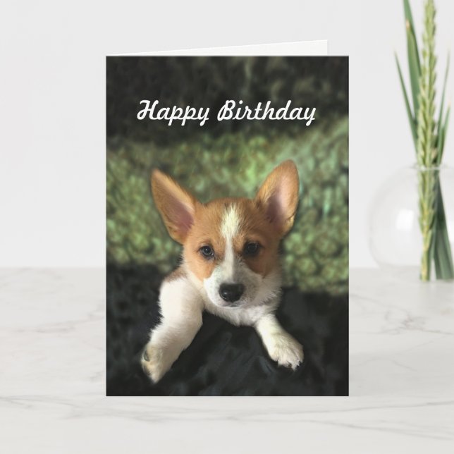 Corgi Puppy Happy Birthday Card (Front)