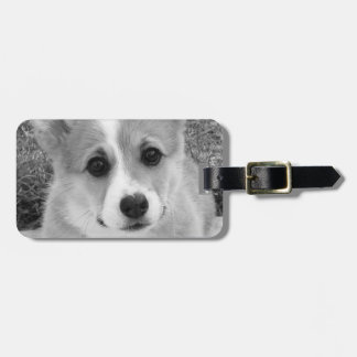 Corgi Puppy Luggage Tag