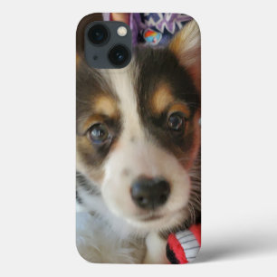 Corgi Puppy or Your Own Photo iPhone 13 Case