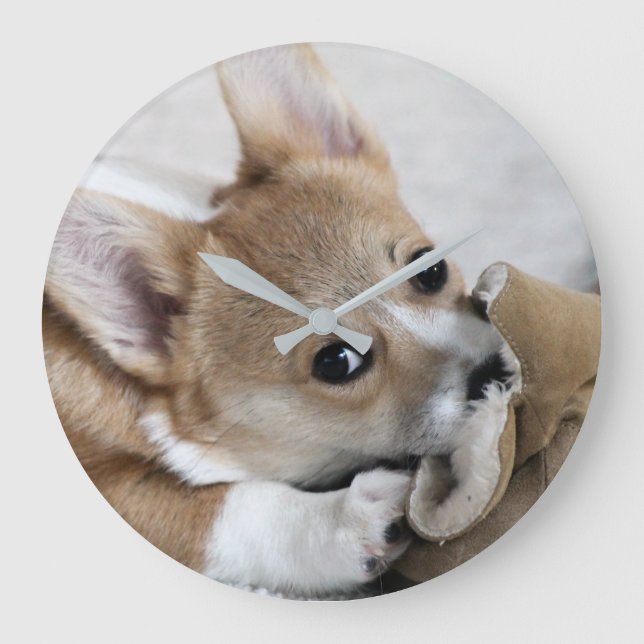Corgi Puppy Wall Clock (Front)