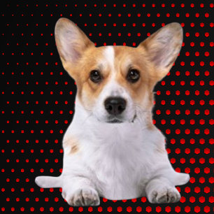 Corgi red dots golf head cover