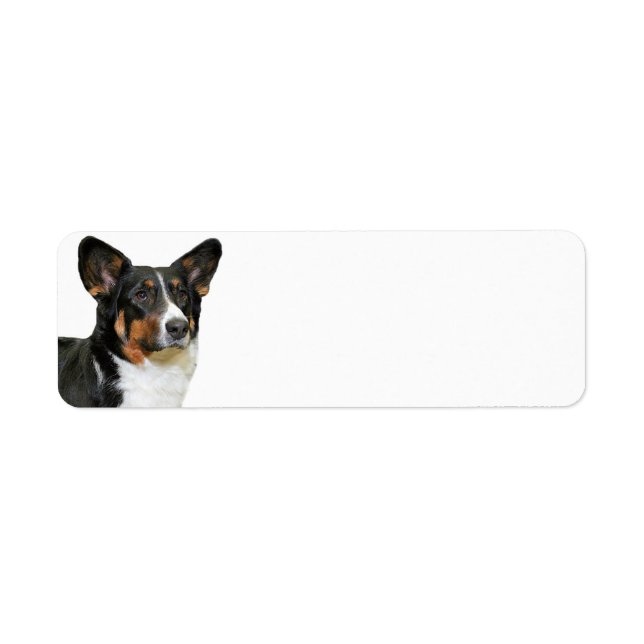 Corgi Return Address Label (Front)