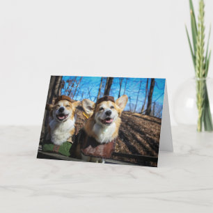 Corgi Robin Hood blank card