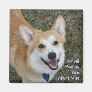 Corgi Smiles Are Infectious! Magnet