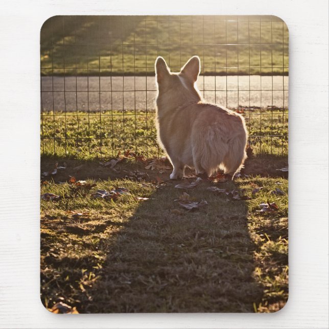 Corgi Sunrise Mouse Pad (Front)