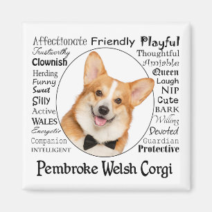Corgi Traits Magnet