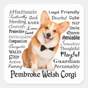 Corgi Traits Square Sticker