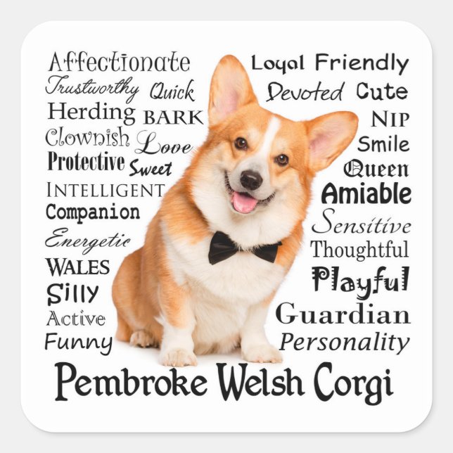 Corgi Traits Square Sticker (Front)