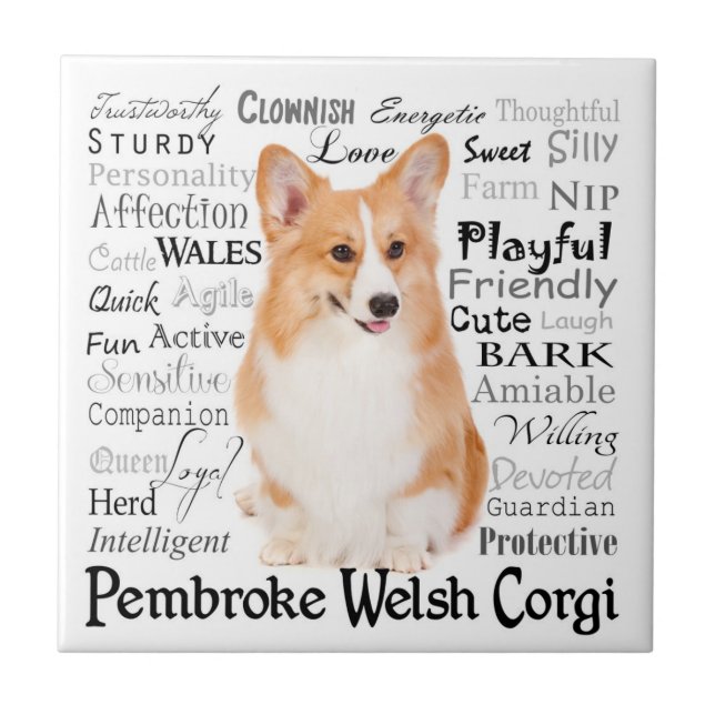 Corgi Traits Tile (Front)