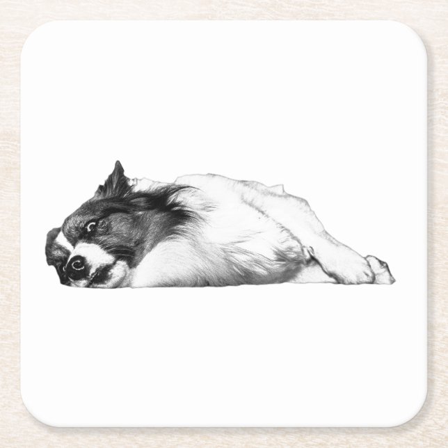 Corgi Watchdog At The Table Square Paper Coaster (Front)