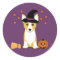 Corgi Witch Halloween