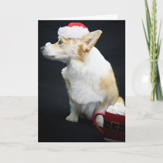 Corgi with Whipped Cream on Its Nose Christmas Card (Front)