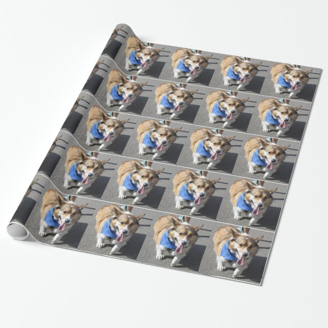 Corgi Wrapping Paper (Unrolled)