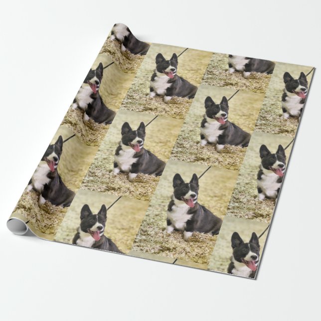 Corgi Wrapping Paper (Unrolled)