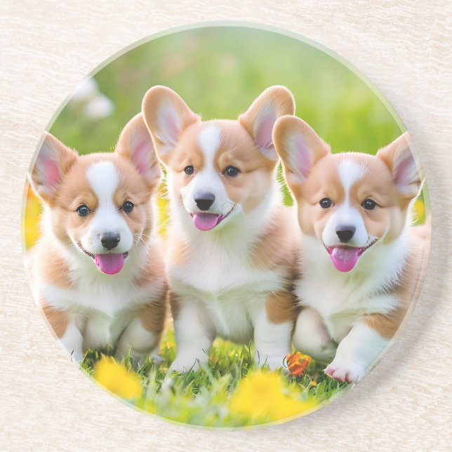 Corgies playing in the grass coaster (Front)