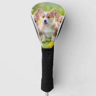Corgies playing in the grass golf head cover