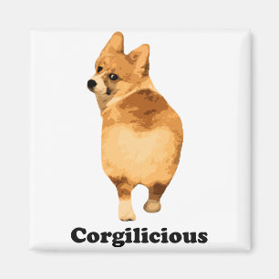 Corgilious Magnet