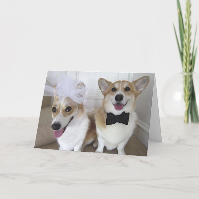 corgis dressed up as bride and groom card (Front)